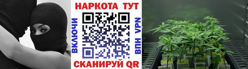 Магазины продажи наркотиков Каргополь A PVP  МЕФ  КОКАИН  Амфетамин  Канабис  ГАШИШ 