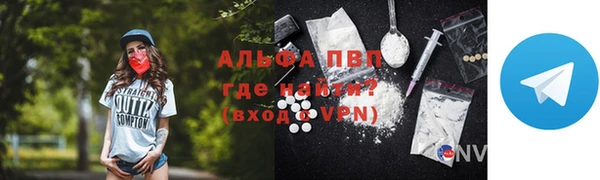 индика Осинники