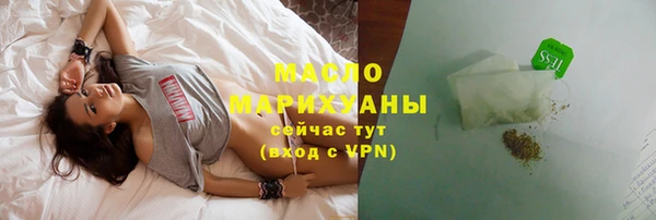 индика Осинники