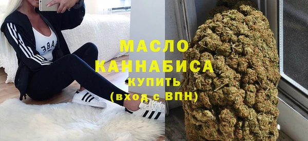 индика Осинники