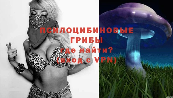 индика Осинники