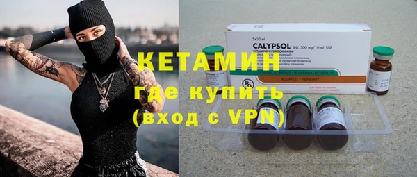 индика Осинники