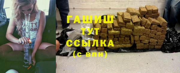 индика Осинники