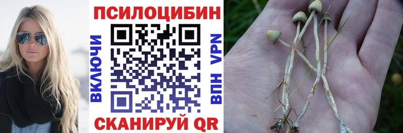 дарк нет какой сайт  Каргополь  Псилоцибиновые грибы мухоморы 